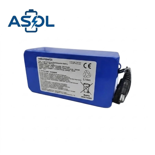 ASOL 4S8P Rechargeable Lithium Battery for Electronic Mouse Trap